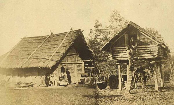 Сакля и амбар для кукурузы. Гурийцы. Грузия (Тифлисская губ.). 1890-е (?)