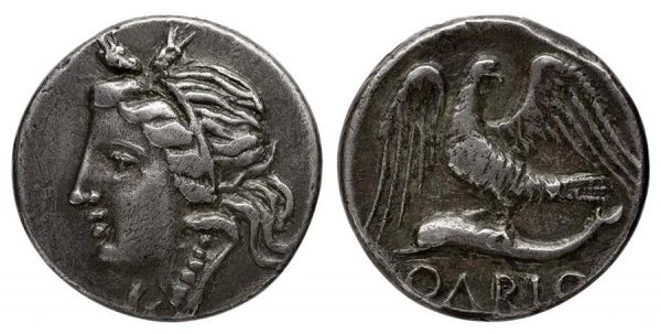 Серебряная монета (статер). Ольвия