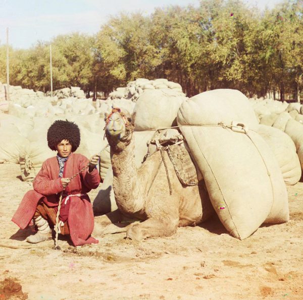 Туркмен, позирующий с верблюдом, загруженным мешками. Фотография С.М. Прокудина-Горского (1863-1944)